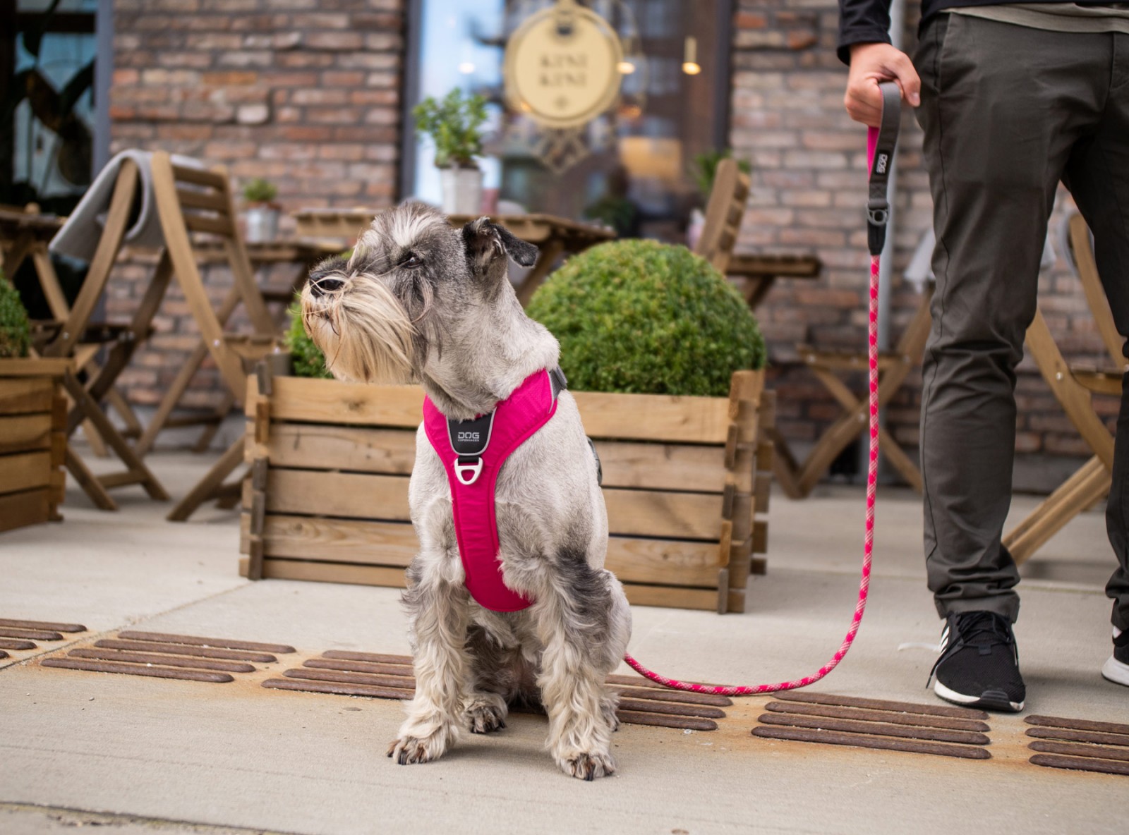 Urban Rope™ Leine von DOG Copenhagen
