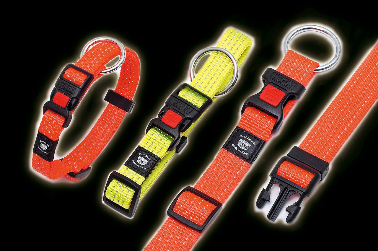 Reflektierendes Hundehalsband