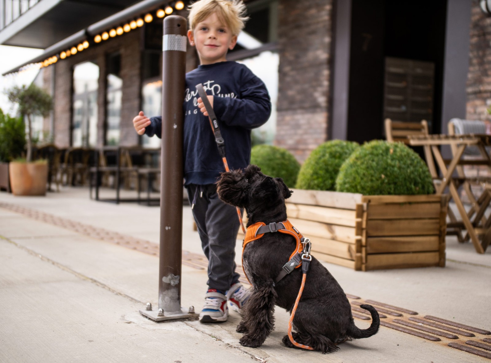 Comfort Walk Pro™ Hundegeschirr DOG Copenhagen
