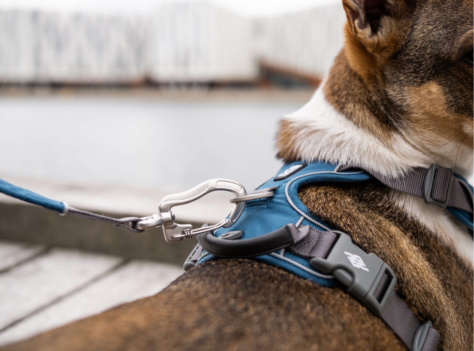 dog-copenhagen-urban-trail-leash-6 Urban Trail™ Leine von DOG Copenhagen