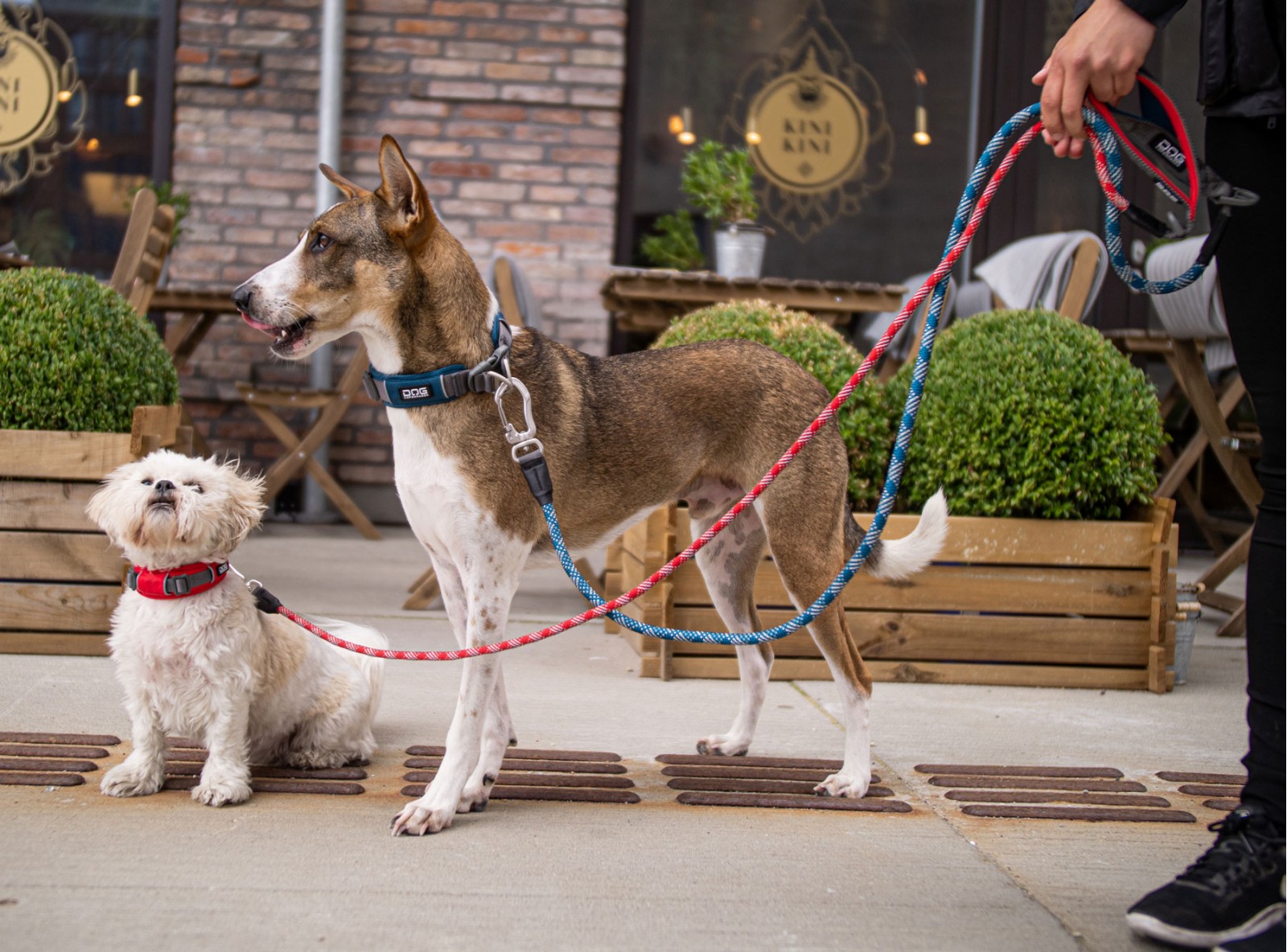 Urban Rope™ Leine von DOG Copenhagen