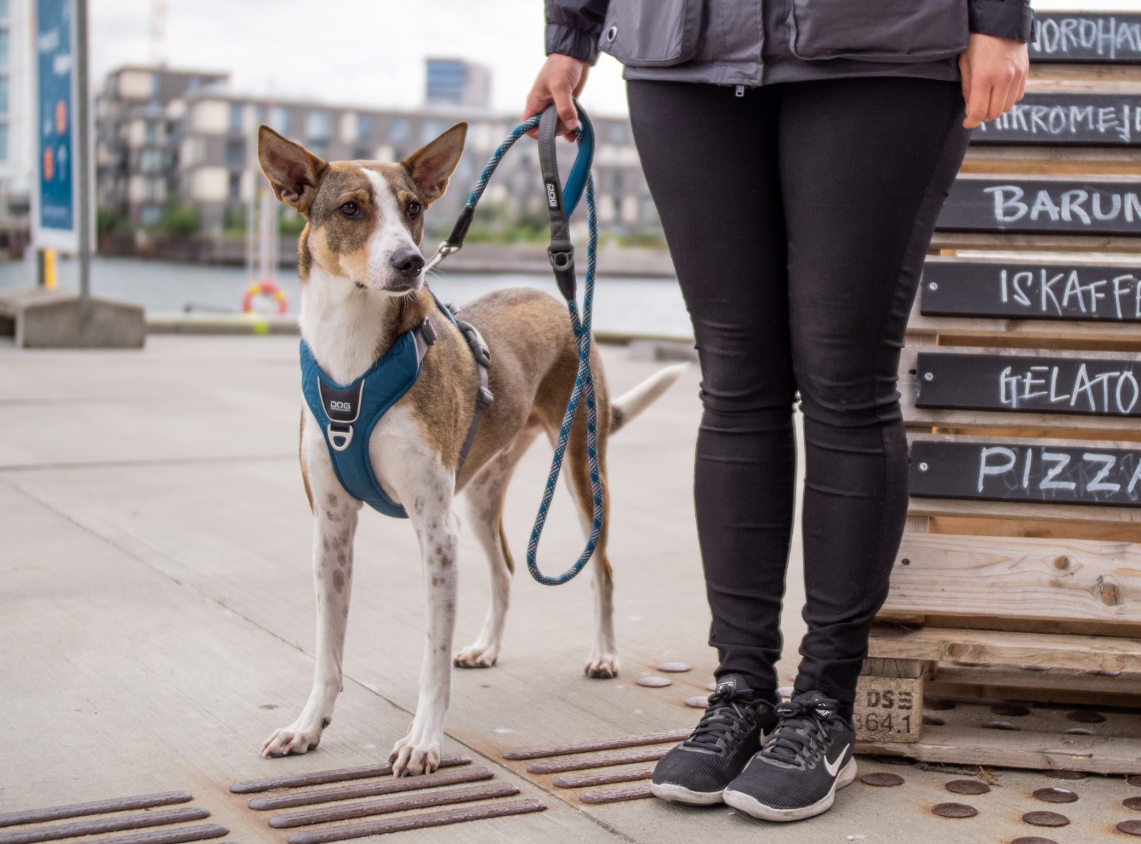 Urban Rope™ Leine von DOG Copenhagen