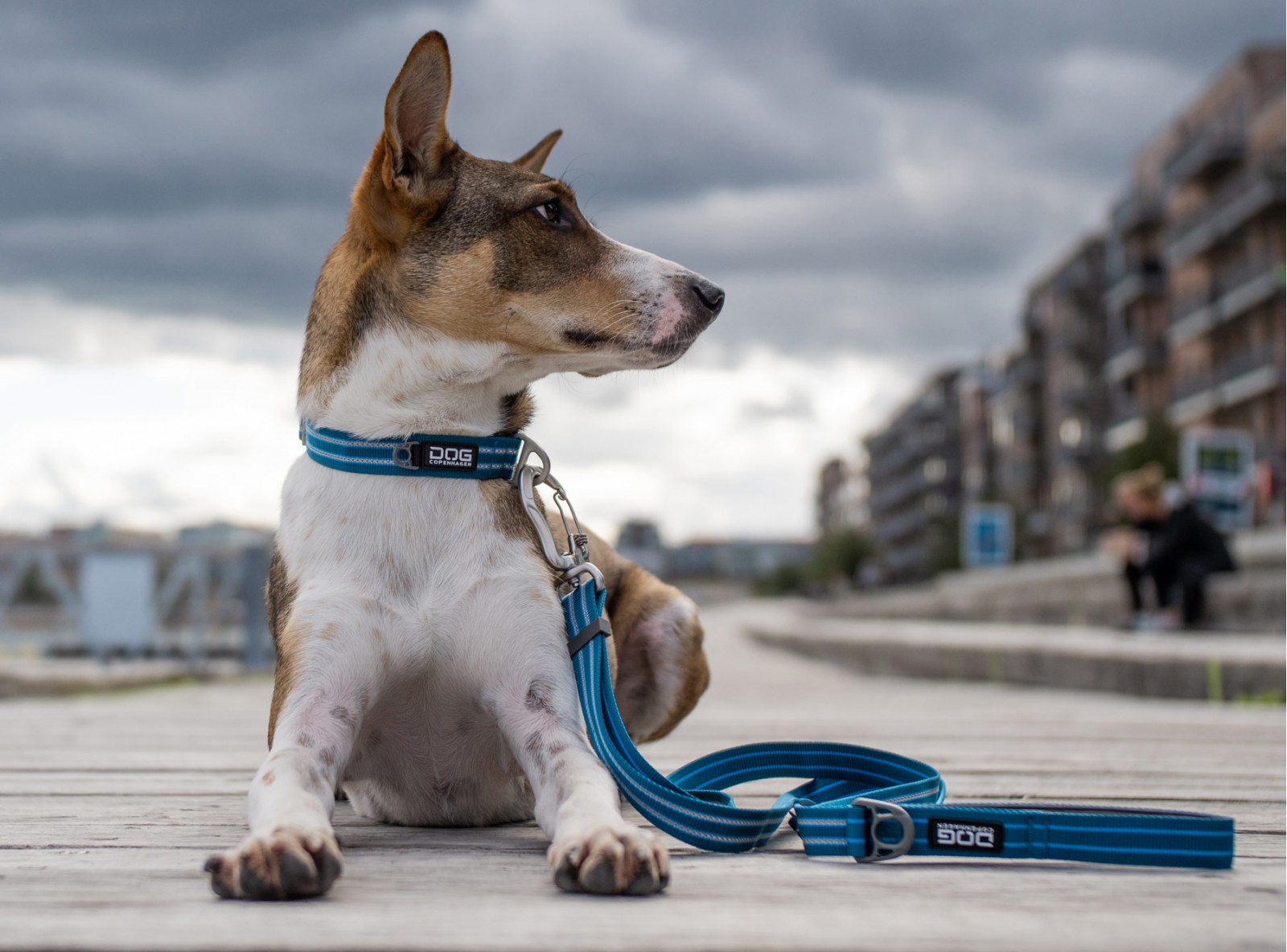 dog-copenhagen-urban-style-halsband-1 Urban Style™ Halsband von DOG Copenhagen