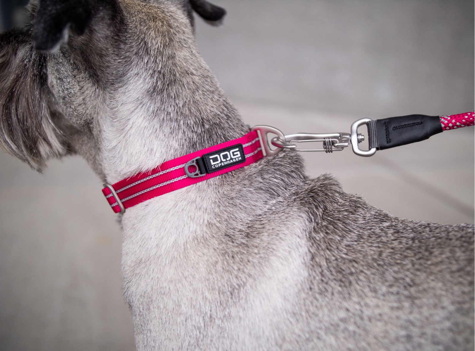 dog-copenhagen-urban-style-halsband-2 Urban Style™ Halsband von DOG Copenhagen
