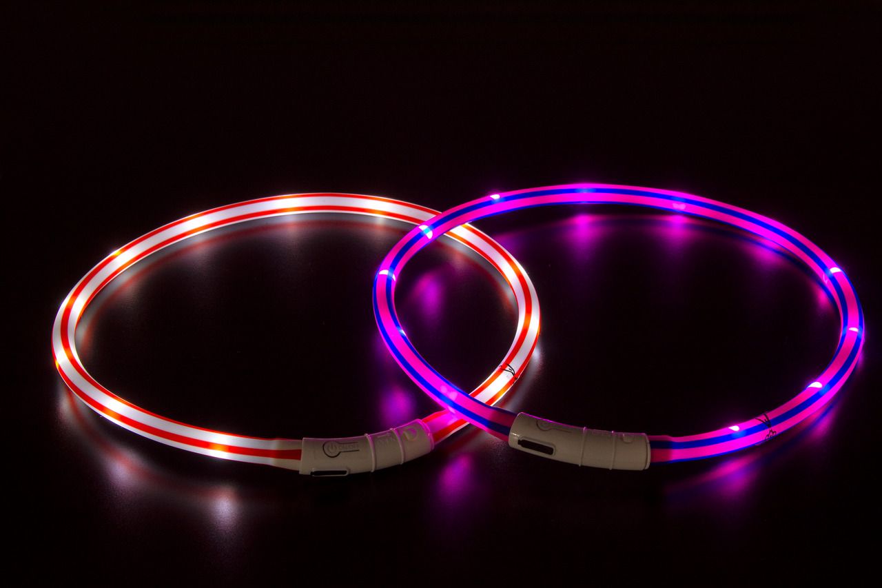 Visio-Light-LED-3 Visio Light LED Hundeleuchthalsband - wiederaufladbar - 20 bis 70cm