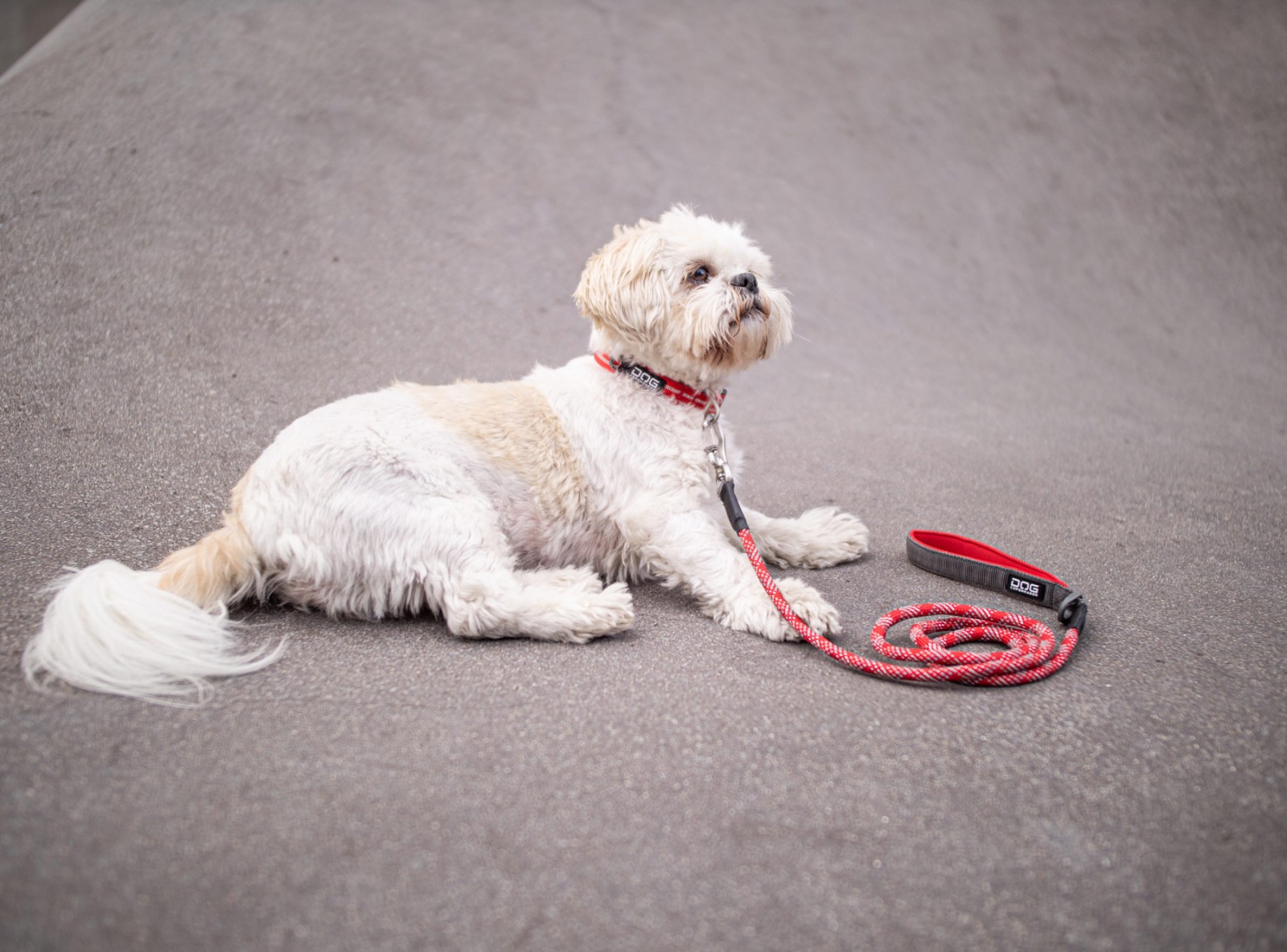Urban Rope™ Leine von DOG Copenhagen