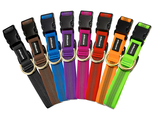 Mystique® gummiertes Hundehalsband