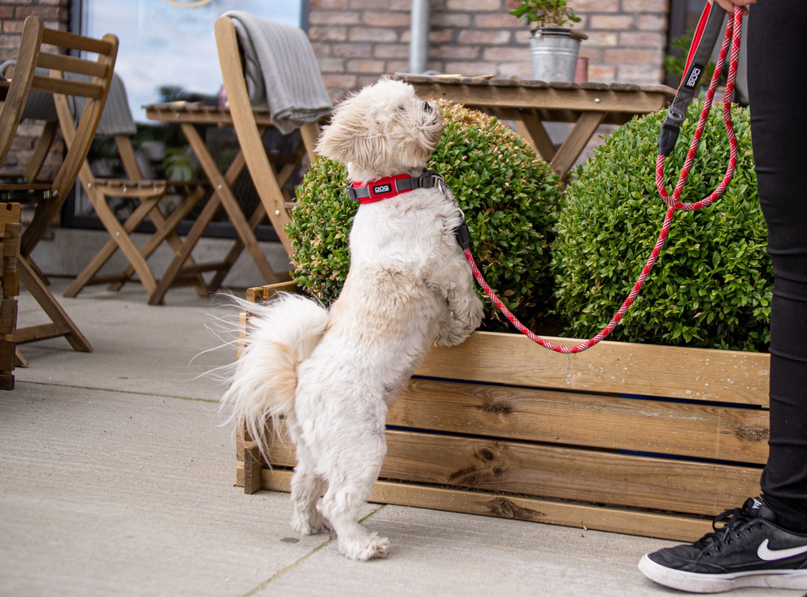 Urban Rope™ Leine von DOG Copenhagen