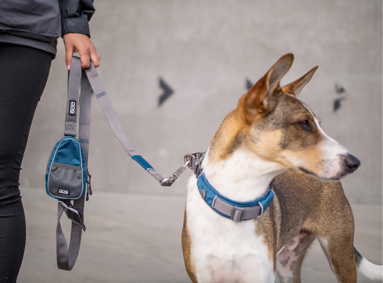 dog-copenhagen-urban-trail-leash-5 Urban Trail™ Leine von DOG Copenhagen