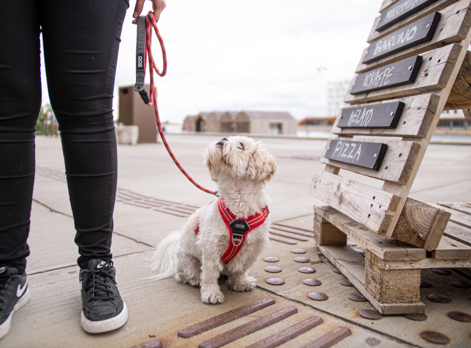 Comfort Walk Air™ Hundegeschirr von DOG Copenhagen
