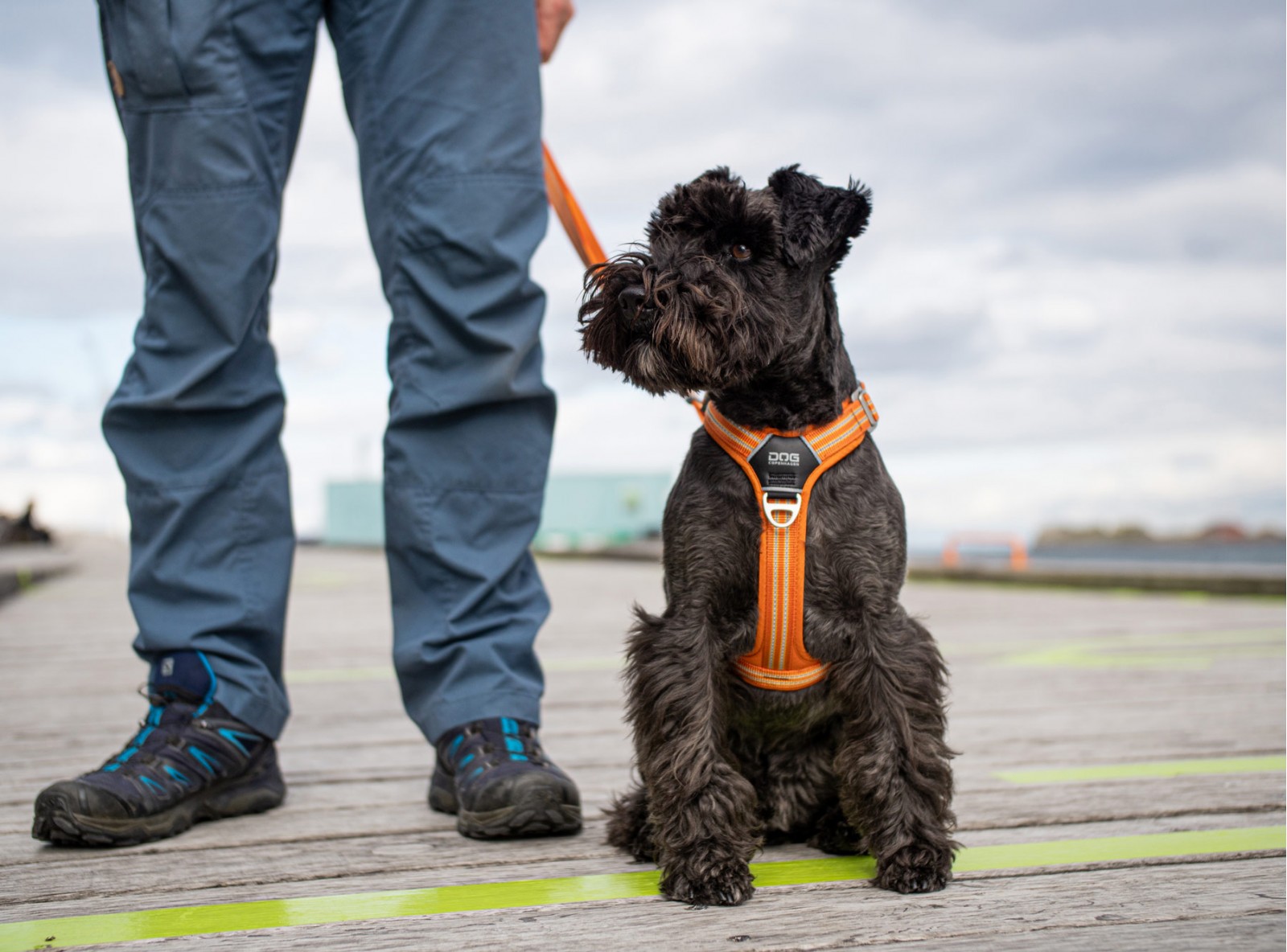 Comfort Walk Air™ Hundegeschirr von DOG Copenhagen