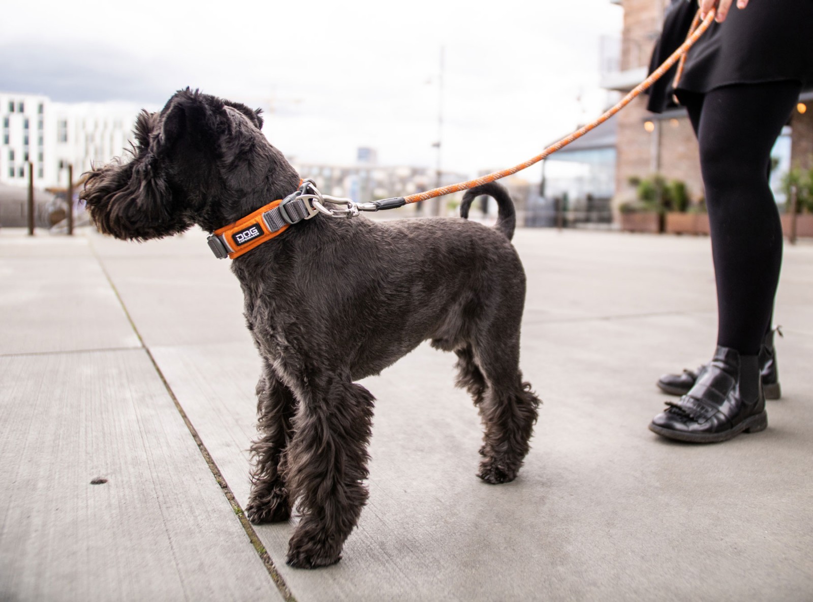Urban Explorer™ Halsband von DOG Copenhagen