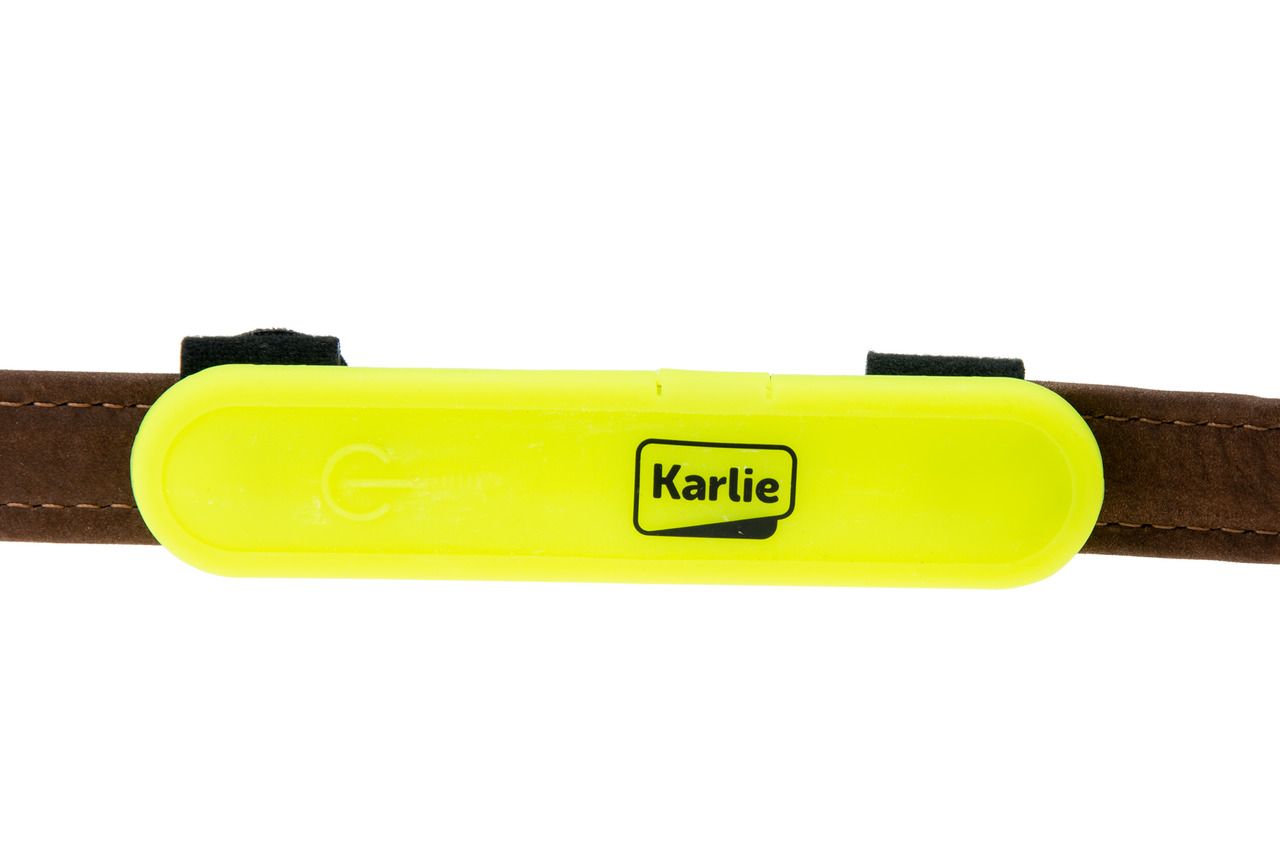 LED Leuchthalsband - Visio Light USB Band von Karlie