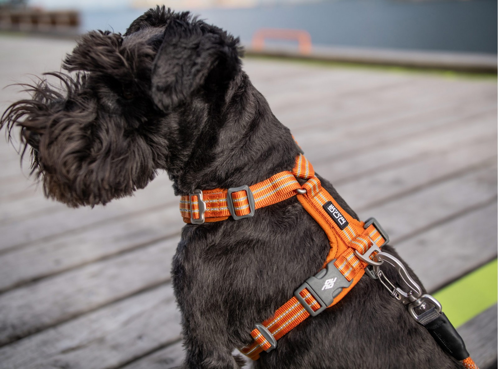 Comfort Walk Air™ Hundegeschirr von DOG Copenhagen