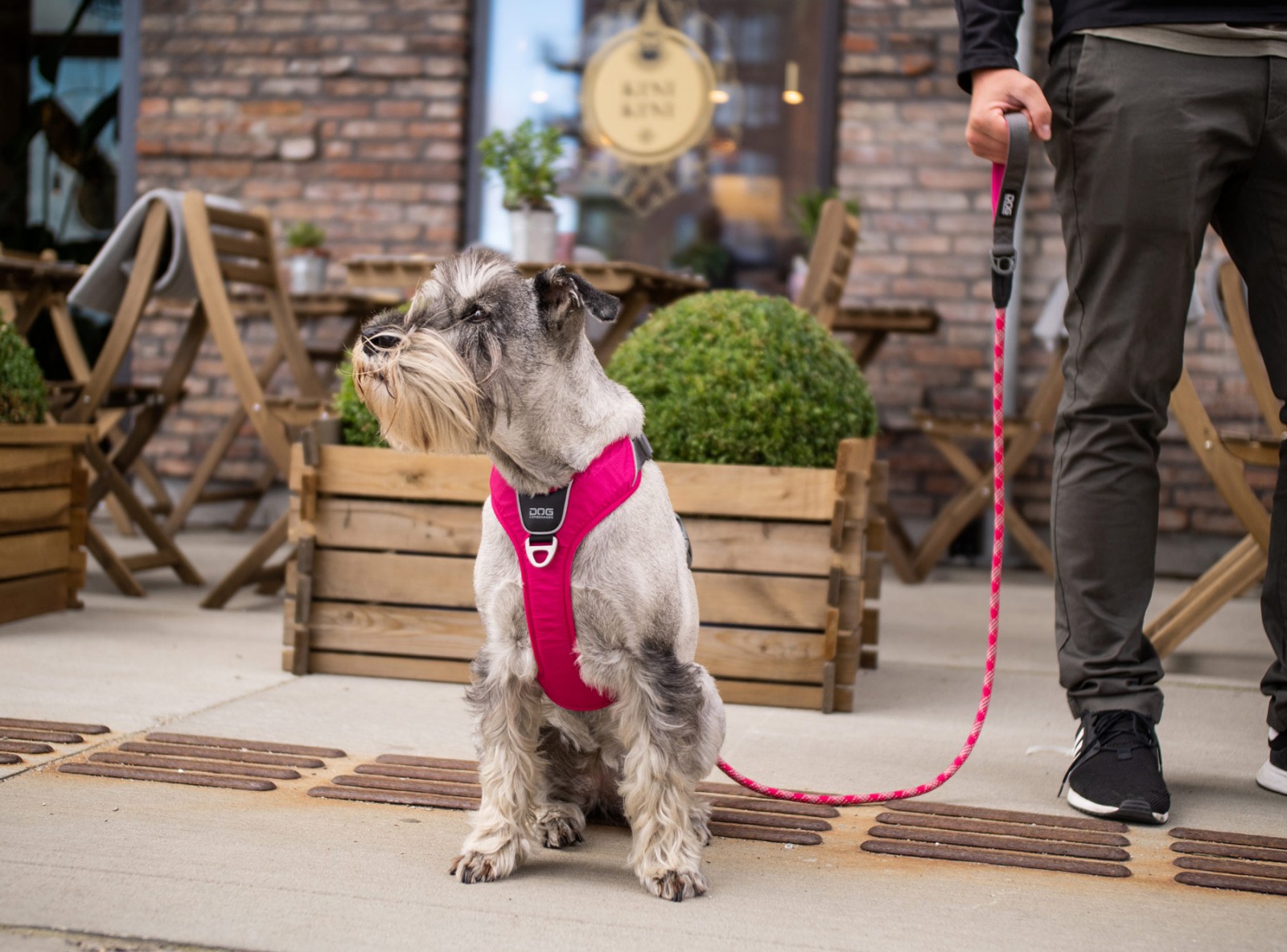 Comfort Walk Pro™ Hundegeschirr DOG Copenhagen