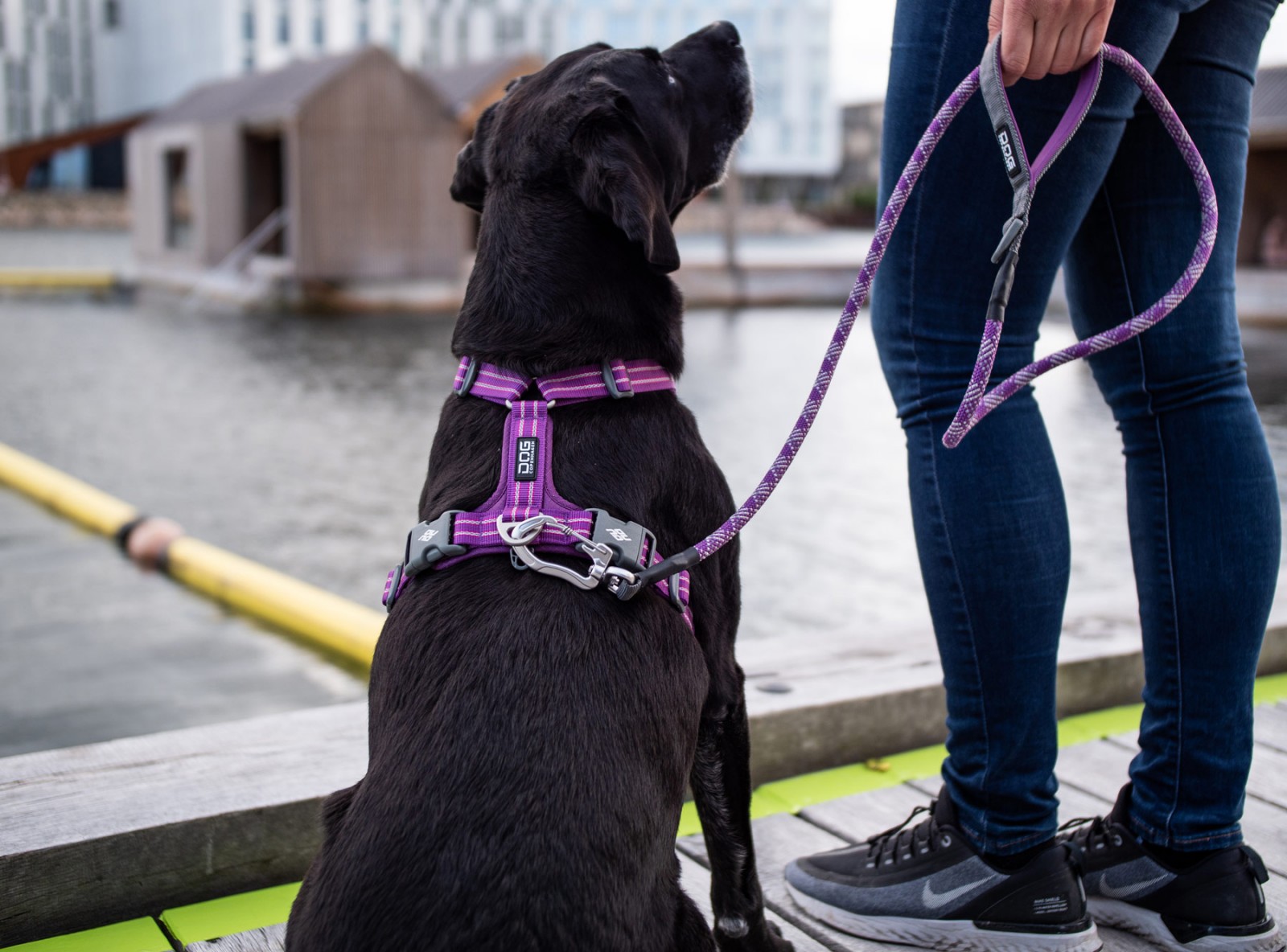 Comfort Walk Air™ Hundegeschirr von DOG Copenhagen